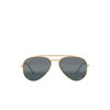 Ray-Ban NEW AVIATOR Sunglasses 9196G6 legend gold - product thumbnail 1/4
