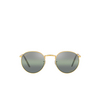 Lunettes de soleil Ray-Ban NEW ROUND 9196G4 legend gold - Vignette du produit 1/4