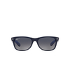 Gafas de sol Ray-Ban NEW WAYFARER 660778 matte blue on transparent blue - Miniatura del producto 1/4