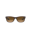 Ray-Ban NEW WAYFARER Sunglasses 6608M2 matte brown on transparent brown - product thumbnail 1/4