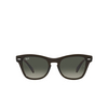 Ray-Ban RB0707S Sunglasses 664271 transparent olive green - product thumbnail 1/4