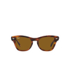 Ray-Ban RB0707S Sunglasses 954/33 striped havana - product thumbnail 1/4