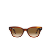 Ray-Ban RB0880S Sunglasses 954/51 striped havana - product thumbnail 1/4