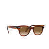 Ray-Ban RB0880S Sunglasses 954/51 striped havana - product thumbnail 2/4