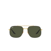 Lunettes de soleil Ray-Ban RB3699 900031 black on gold - Vignette du produit 1/4