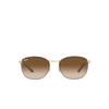 Lunettes de soleil Ray-Ban RB3702 900951 brown on gold - Vignette du produit 1/4