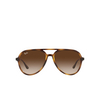 Ray-Ban RB4376 Sunglasses 710/13 havana - product thumbnail 1/4