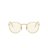 Ray-Ban ROUND METAL Sunglasses 9196BL legend gold - product thumbnail 1/4