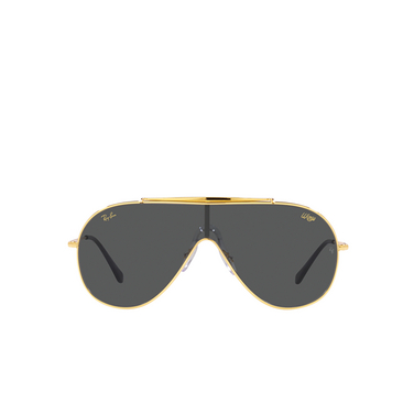 Ray-Ban WINGS Sunglasses 924687 legend gold - front view