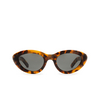 Retrosuperfuture COCCA Sunglasses 3RH spotted havana - product thumbnail 1/5