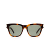 Saint Laurent SL 560 Sunglasses 002 havana - product thumbnail 1/4