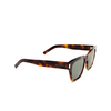 Saint Laurent SL 560 Sunglasses 002 havana - product thumbnail 2/4
