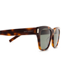 Saint Laurent SL 560 Sunglasses 002 havana - product thumbnail 3/4