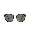 Saint Laurent SL M101 Sunglasses 004 havana - product thumbnail 1/4