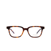 Saint Laurent SL M110 Eyeglasses 002 havana - product thumbnail 1/4