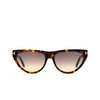 Tom Ford AMBER 02 Sonnenbrillen 52B dark havana - Produkt-Miniaturansicht 1/4