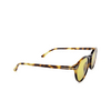 Tom Ford AURELE Sunglasses 53E havana - product thumbnail 2/4