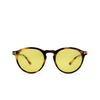 Tom Ford AURELE Sunglasses 53E havana - product thumbnail 1/4