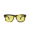 Gafas de sol Tom Ford BUCKLEY-02 55E havana - Miniatura del producto 1/4