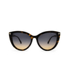 Tom Ford ISABELLA-02 Sunglasses 55P havana - product thumbnail 1/4