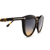 Tom Ford ISABELLA-02 Sunglasses 55P havana - product thumbnail 3/4