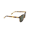 Tom Ford JONI Sunglasses 53N havana - product thumbnail 2/4