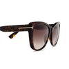 Tom Ford NORA Sunglasses 52K dark havana - product thumbnail 3/4