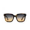 Tom Ford SELBY Sonnenbrillen 53P havana - Produkt-Miniaturansicht 1/4