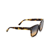 Tom Ford SELBY Sonnenbrillen 53P havana - Produkt-Miniaturansicht 2/4