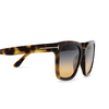 Tom Ford SELBY Sonnenbrillen 53P havana - Produkt-Miniaturansicht 3/4