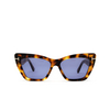 Tom Ford WYATT Sonnenbrillen 55V havana - Produkt-Miniaturansicht 1/4