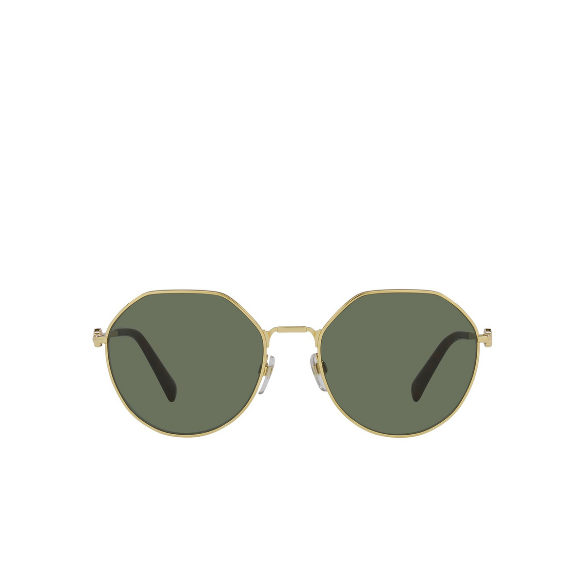 Valentino® Irregular Sunglasses: VA2043 color Gold 300271 - front view.