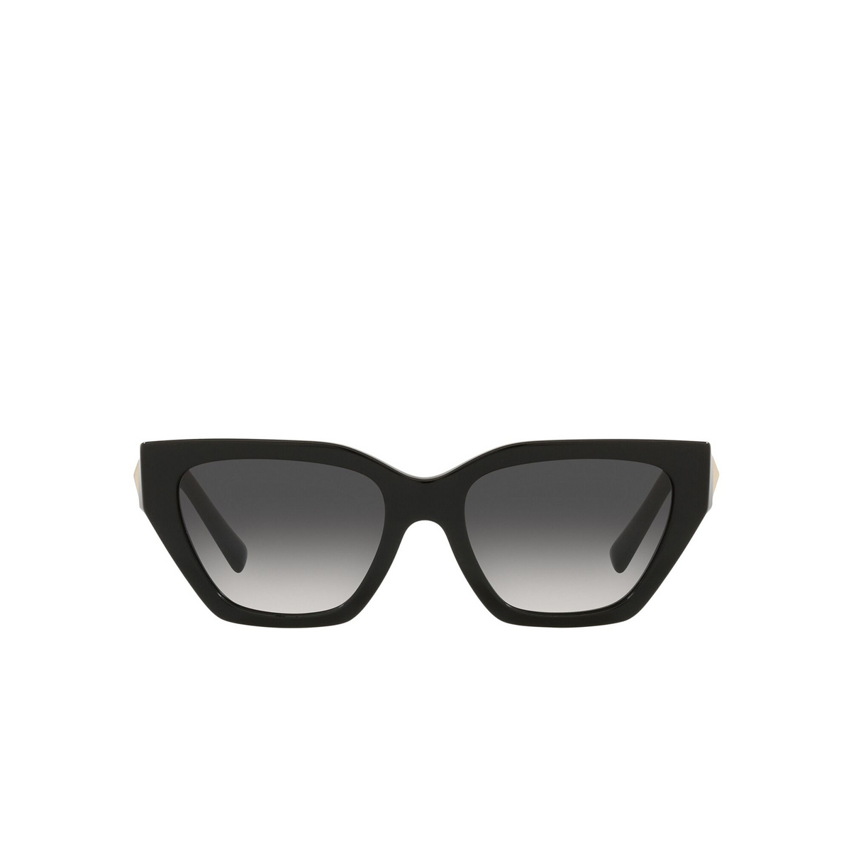 Valentino® Irregular Sunglasses: VA4110 color Black 50018G - front view.