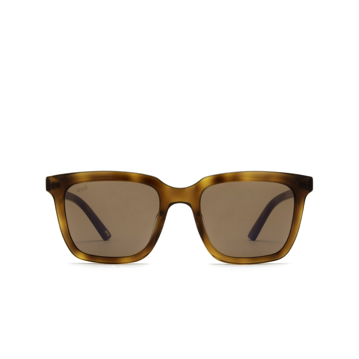 Web® Square Sunglasses: WE0309 color 53G Blonde Havana - front view