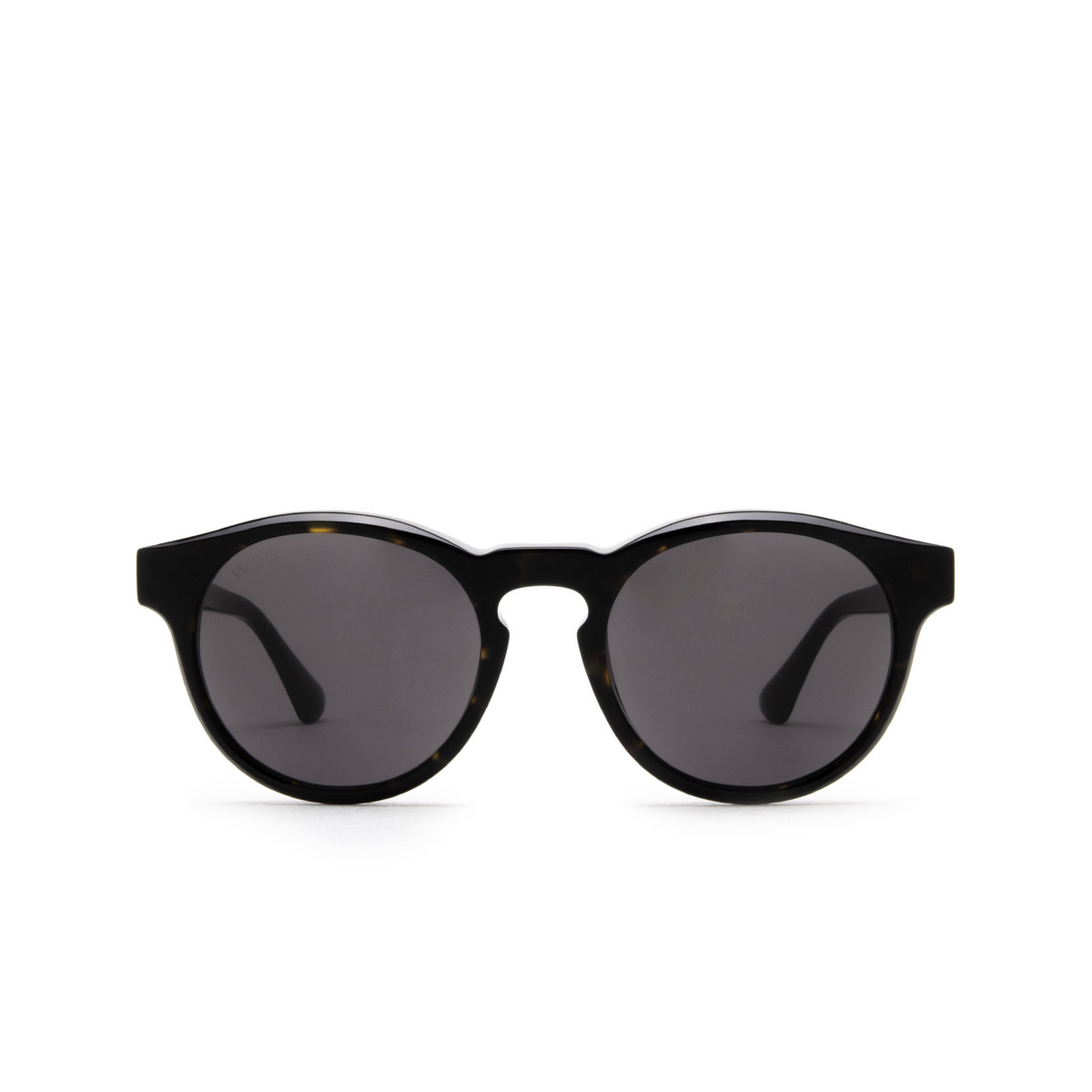 Web® Round Sunglasses: WE0324 color 56A Havana - front view
