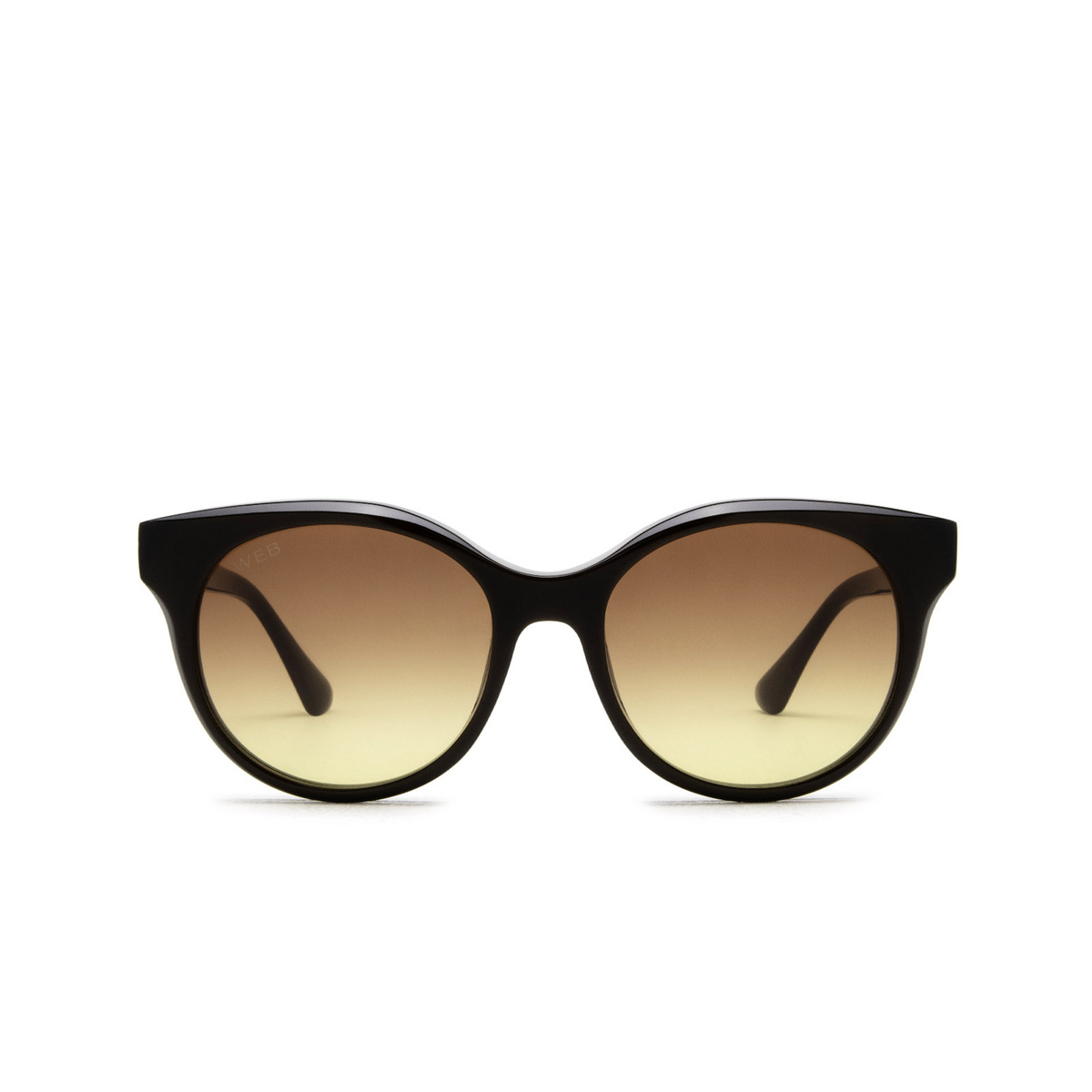 Web® Cat-eye Sunglasses: WE0326 color 50F Dark Brown - front view