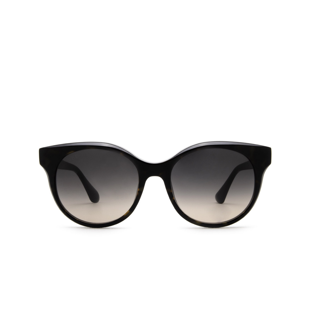 Web® Cat-eye Sunglasses: WE0326 color 56B Havana - front view