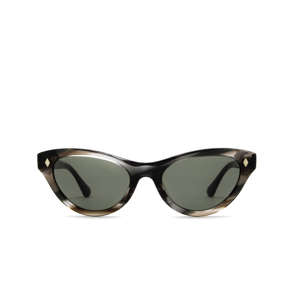 Web® Cat-eye Sunglasses: WE0330 color 20N Grey - front view