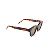 AKILA APOLLO Sunglasses 96/94 tortoise - product thumbnail 2/5