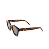 AKILA APOLLO Sunglasses 96/94 tortoise - product thumbnail 4/5