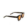 Akila ASCENT Sunglasses 94/86 tokyo tortoise - product thumbnail 2/4
