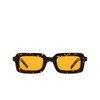 Akila EOS Sunglasses 94/86 tokyo tortoise - product thumbnail 1/5