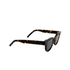 Akila LEGACY RAW Sunglasses 93/01 R tokyo tortoise - product thumbnail 2/5