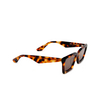 Gafas de sol Akila PARADOX 97/94 havana - Miniatura del producto 2/4