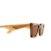 Gafas de sol Akila PARADOX 97/96 brown - Miniatura del producto 3/4