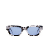 Gafas de sol Akila ZED 04/24 brooklyn tortoise - Miniatura del producto 1/4