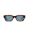 AKILA ZED Sunglasses 94/36 havana - product thumbnail 1/5