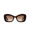 Alexander McQueen AM0434S Sunglasses 002 havana - product thumbnail 1/4