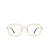 Alexander McQueen AM0437O Eyeglasses 004 rose gold - product thumbnail 1/5