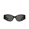 Balenciaga BB0258S Sunglasses 008 havana - product thumbnail 1/5